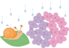 雨の日のアジサイとカタツムリ