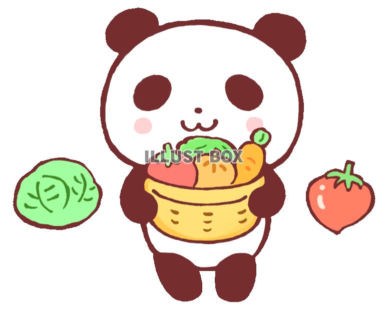 野菜を持つパンダ