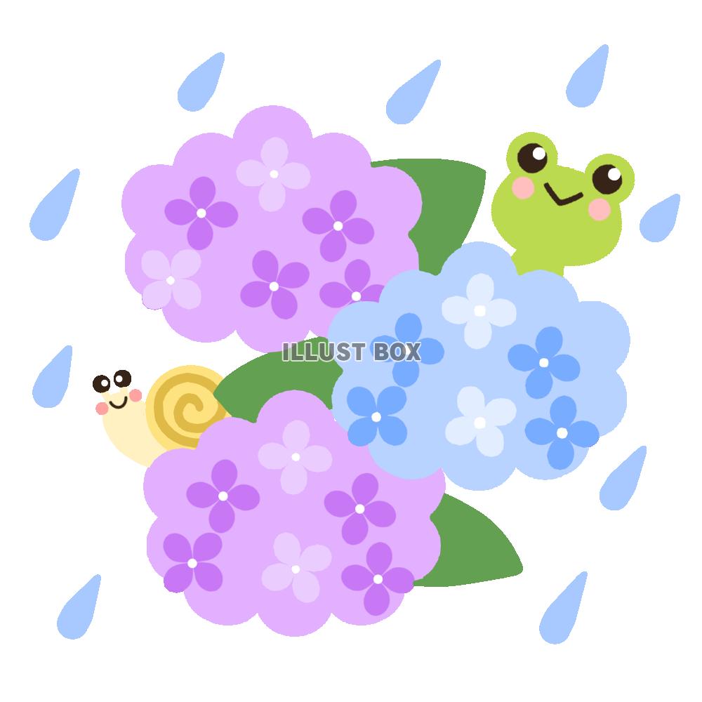 カエルとかたつむりの紫陽花素材　透過png