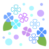 雨の紫陽花　透過png