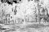 イラスト素材「風景」