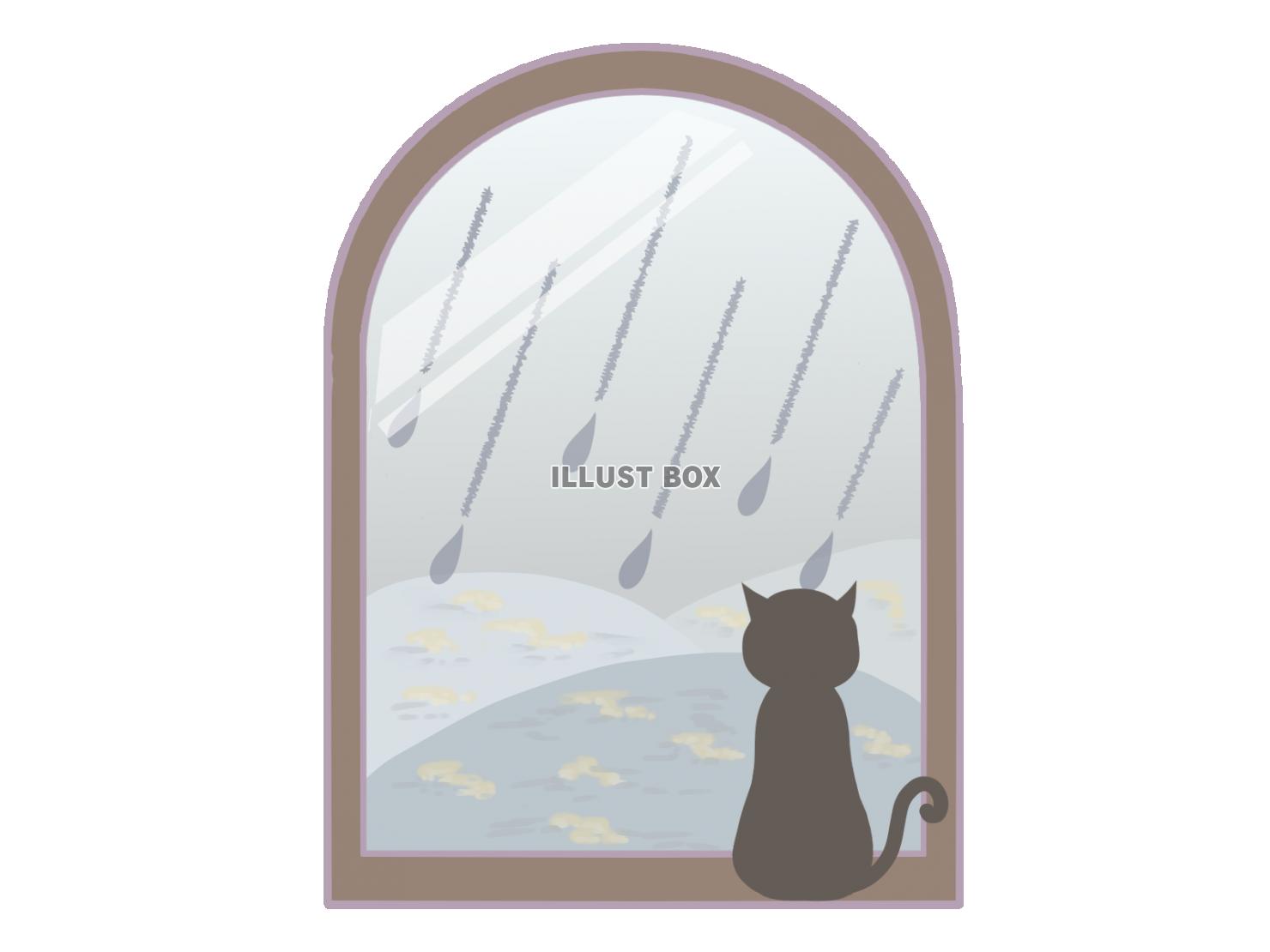窓辺に座るネコ　雨