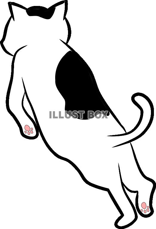 無料イラスト 白黒ぶちねこ Png