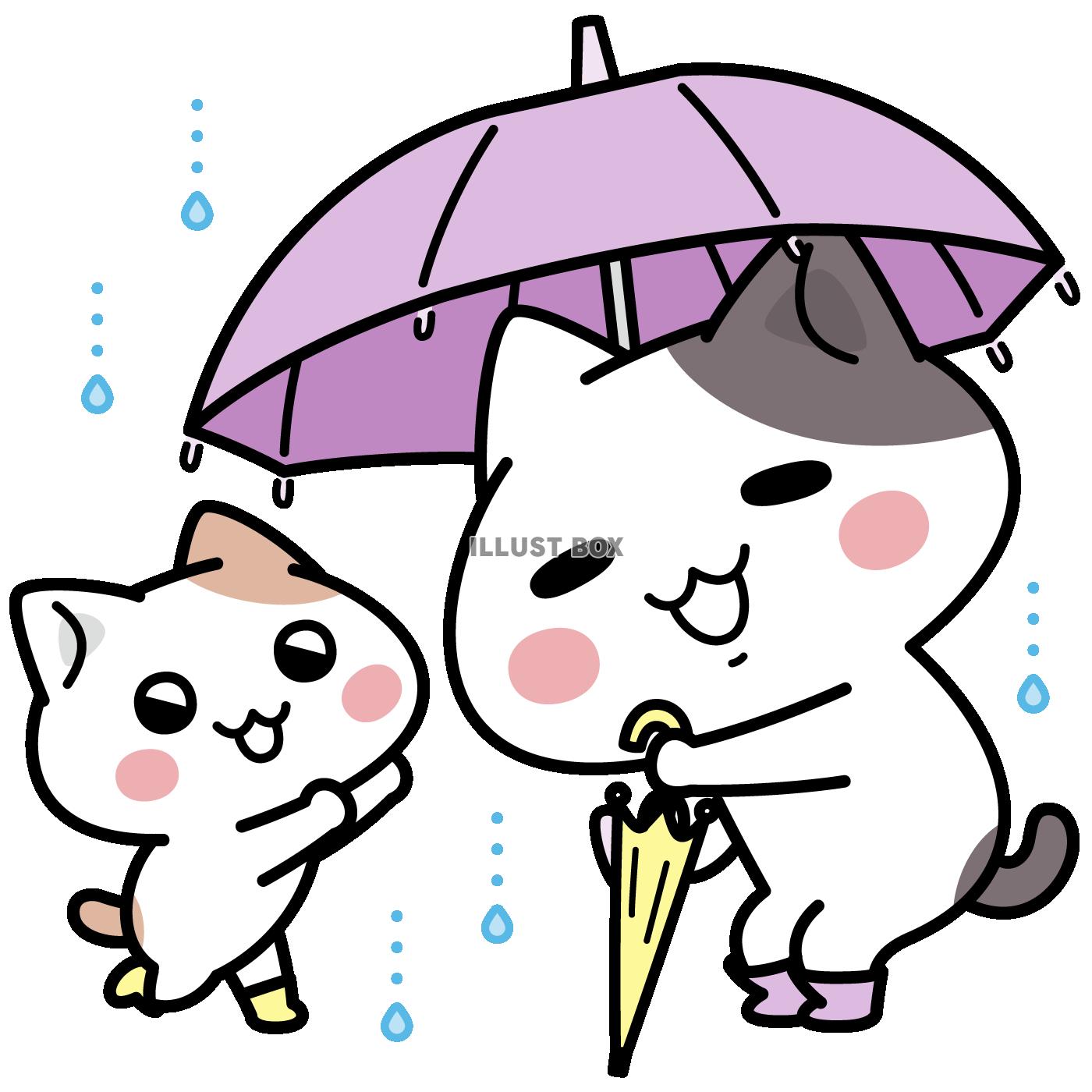 迎えに来たよ＜ぶち猫　にゃんこ＞