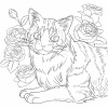 長毛種の猫の塗り絵