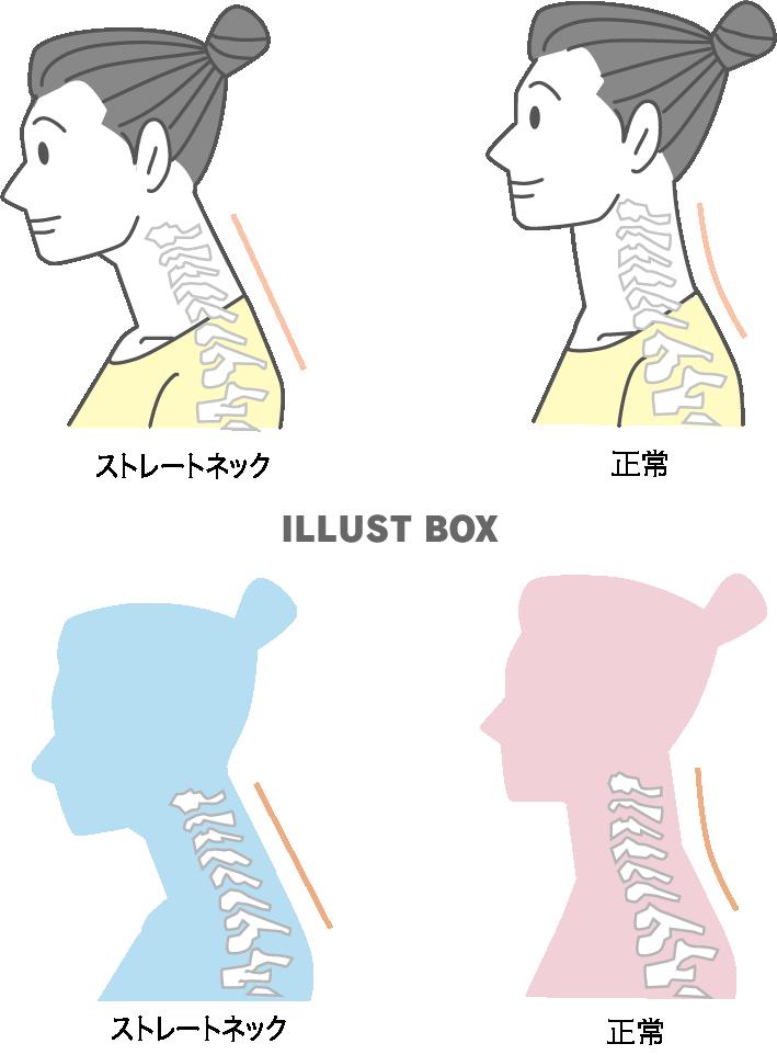 首_姿勢比較