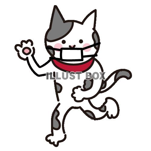 マスクをつけて走っている猫のイラスト