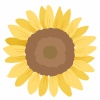ひまわり