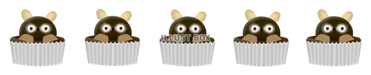 たぬきケーキのライン