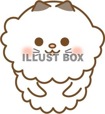 白いふわふわの猫