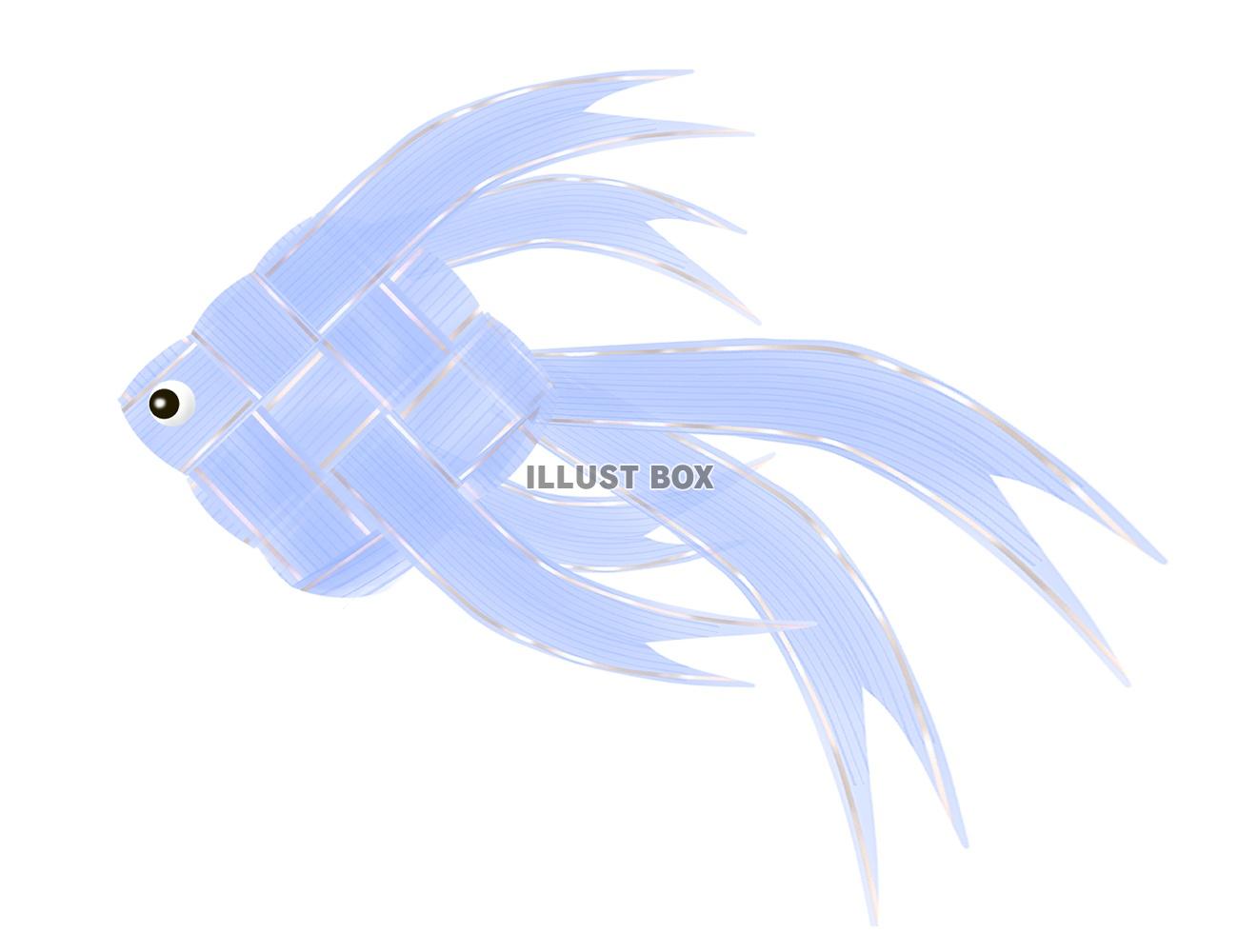 リボン金魚