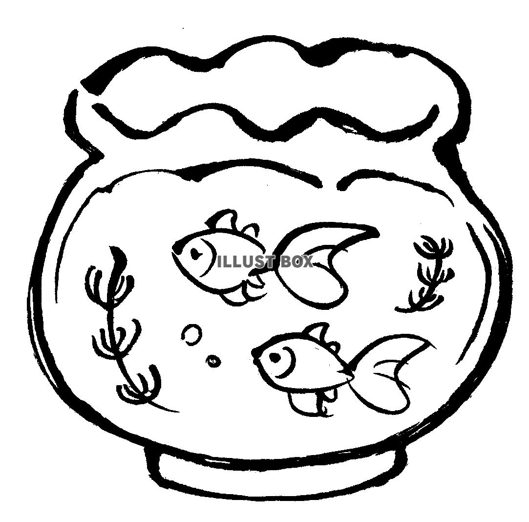 筆絵の金魚鉢１
