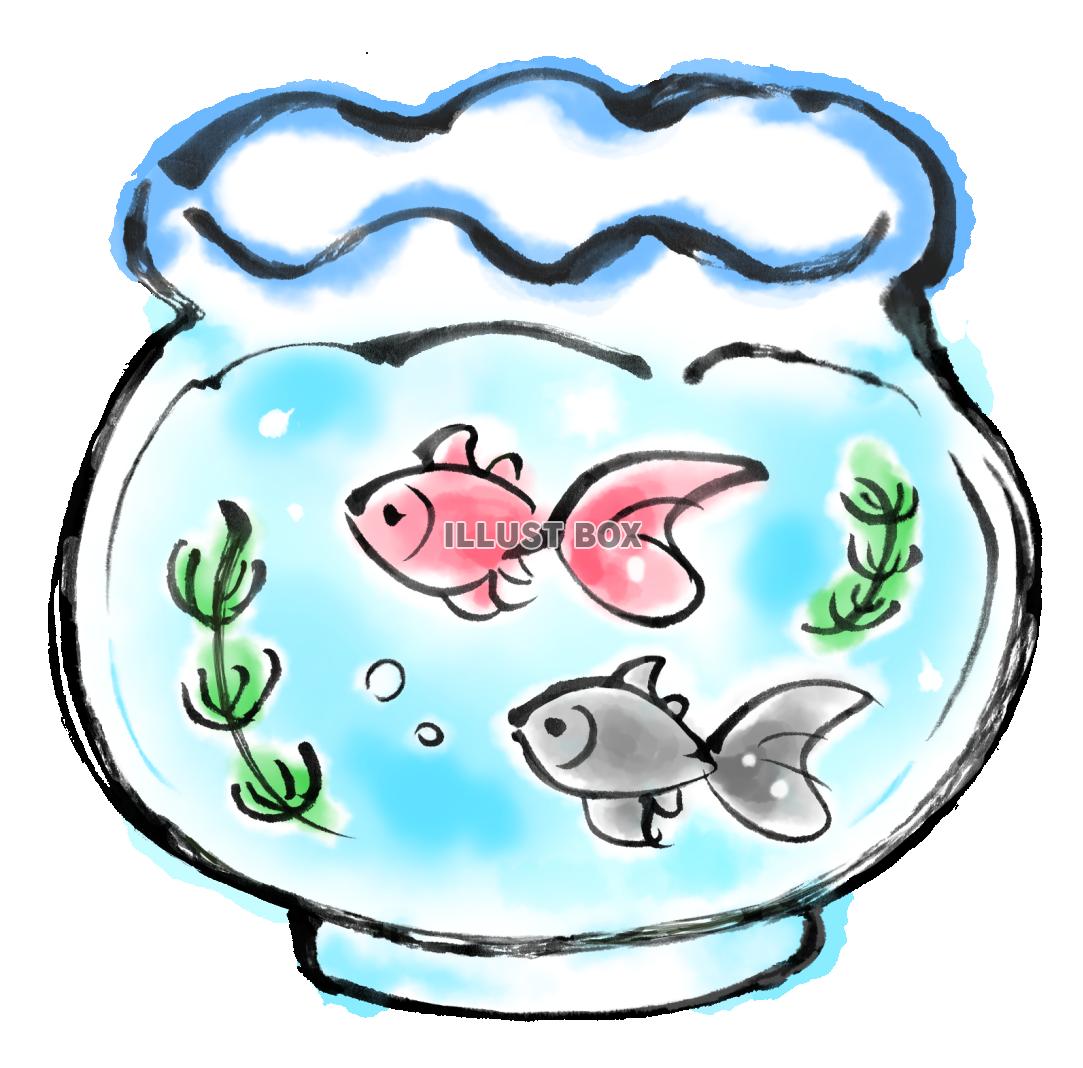 無料イラスト 筆絵の金魚鉢２