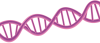 DNA