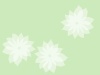 白い花模様壁紙シンプル背景素材イラスト