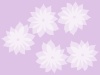 白い花模様壁紙シンプル背景素材イラスト