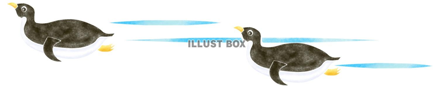 ペンギンのライン