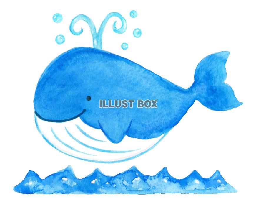 無料イラスト 水彩のクジラ１