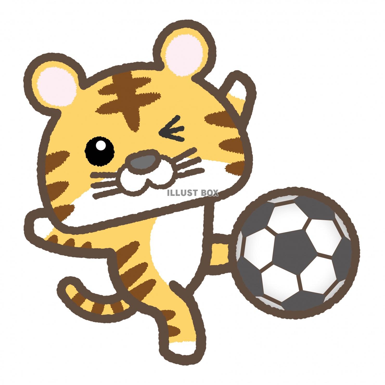 無料イラスト 寅08 04 スポーツ サッカー シュート02