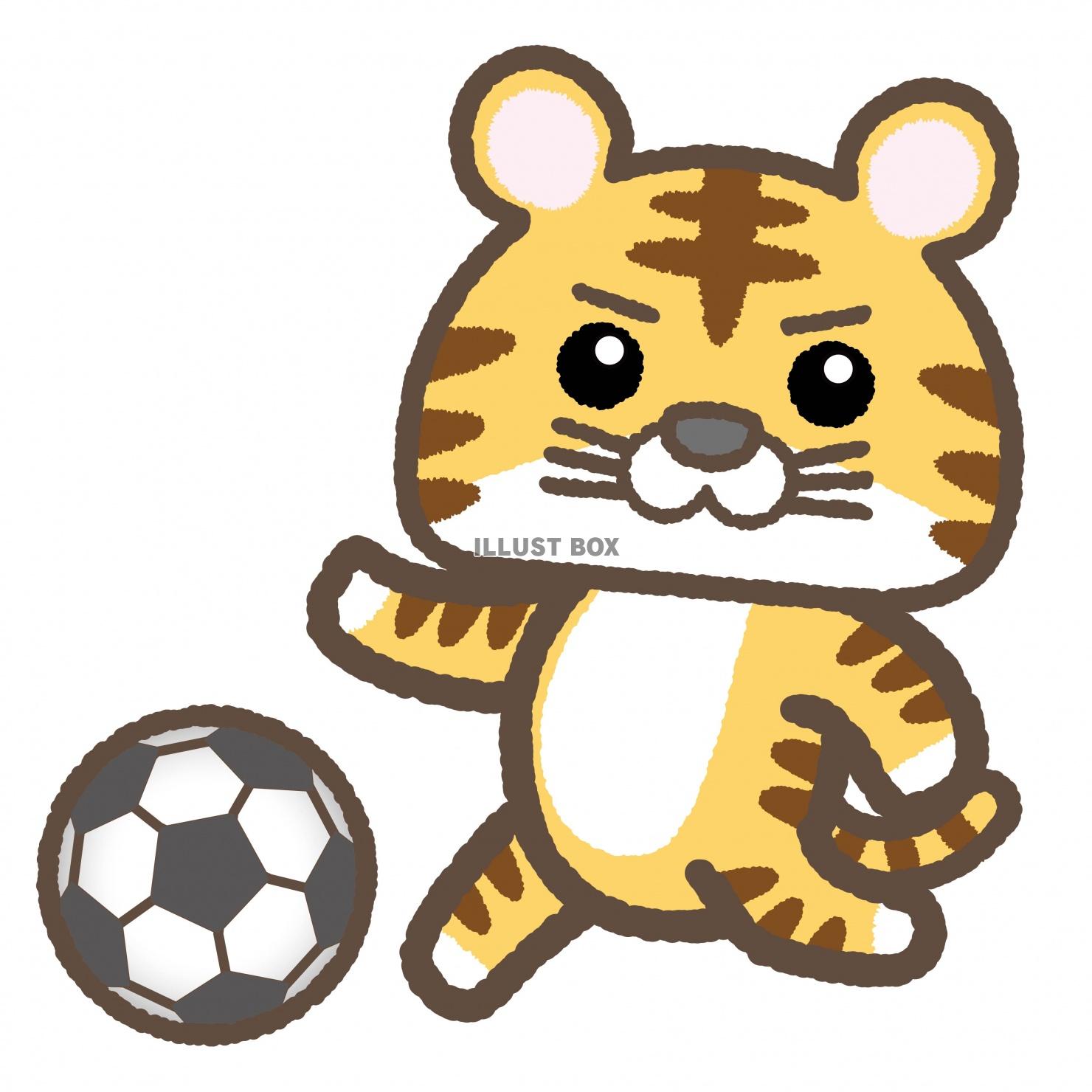 サッカー イラスト無料