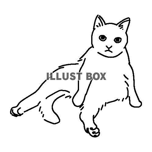 無料イラスト おじさん座りでリラックスしている猫の全身線画イラスト
