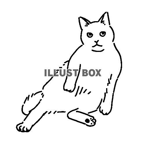 おっさん座りしている猫の全身線画イラスト