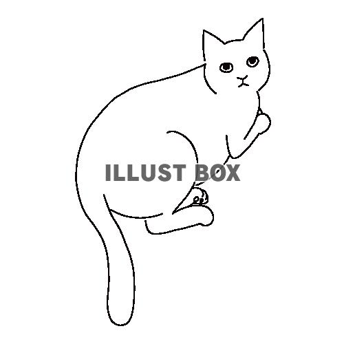 猫の全身線画イラスト