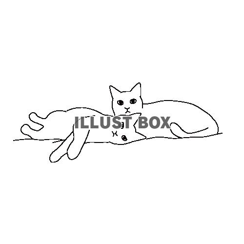 二匹でくっついて寝転がっている猫の全身線画イラスト