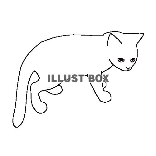 子猫の全身線画イラスト