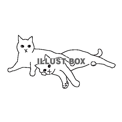 くっついて寝転がる二匹の猫の全身線画イラスト