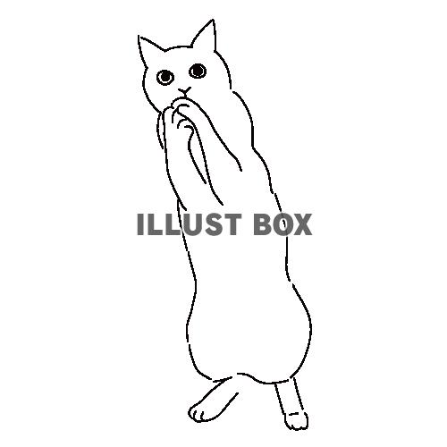 おねだりのポーズの猫の全身線画イラスト