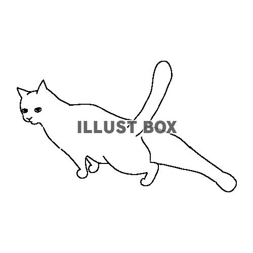 後ろ足を伸ばしている猫の全身線画イラスト