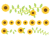 ひまわりのデザインパーツ（PNG背景透過）