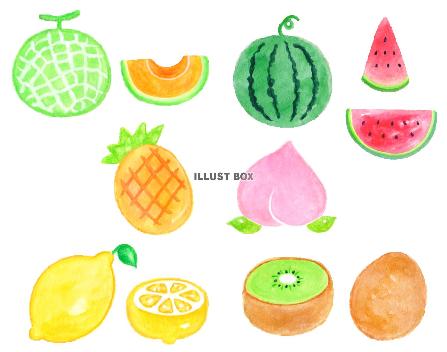 水彩の夏の果物セット