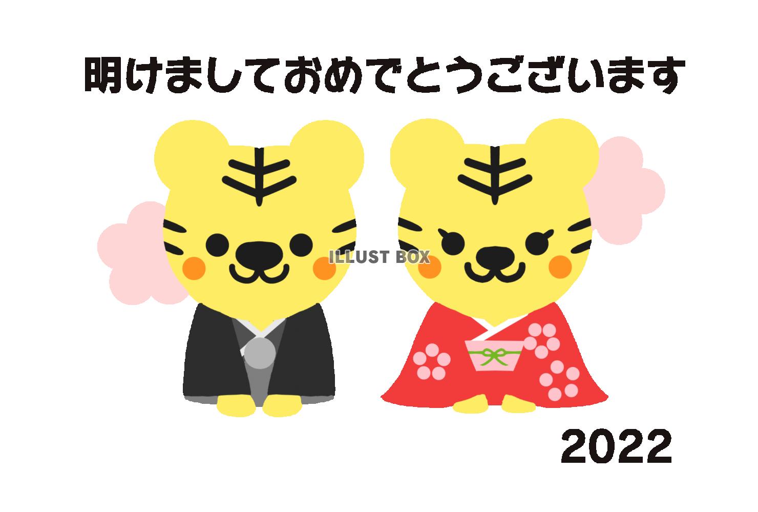 晴れ着姿のトラ2匹2022年年賀状・はかま姿と着物姿のトラ2...