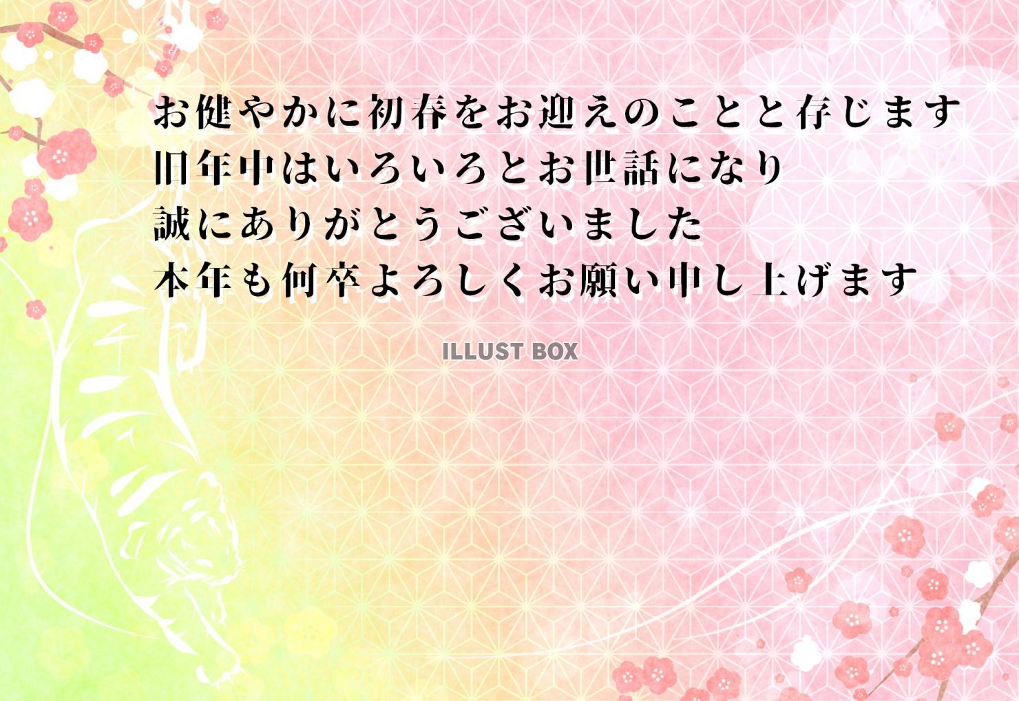 横向き２０２２年の干支、寅と梅のイラストとグラデーション和紙...