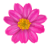 ピンクの花のイラスト　アップ01