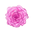 ミニバラ