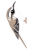 キバシリ（日本の野鳥）PNG