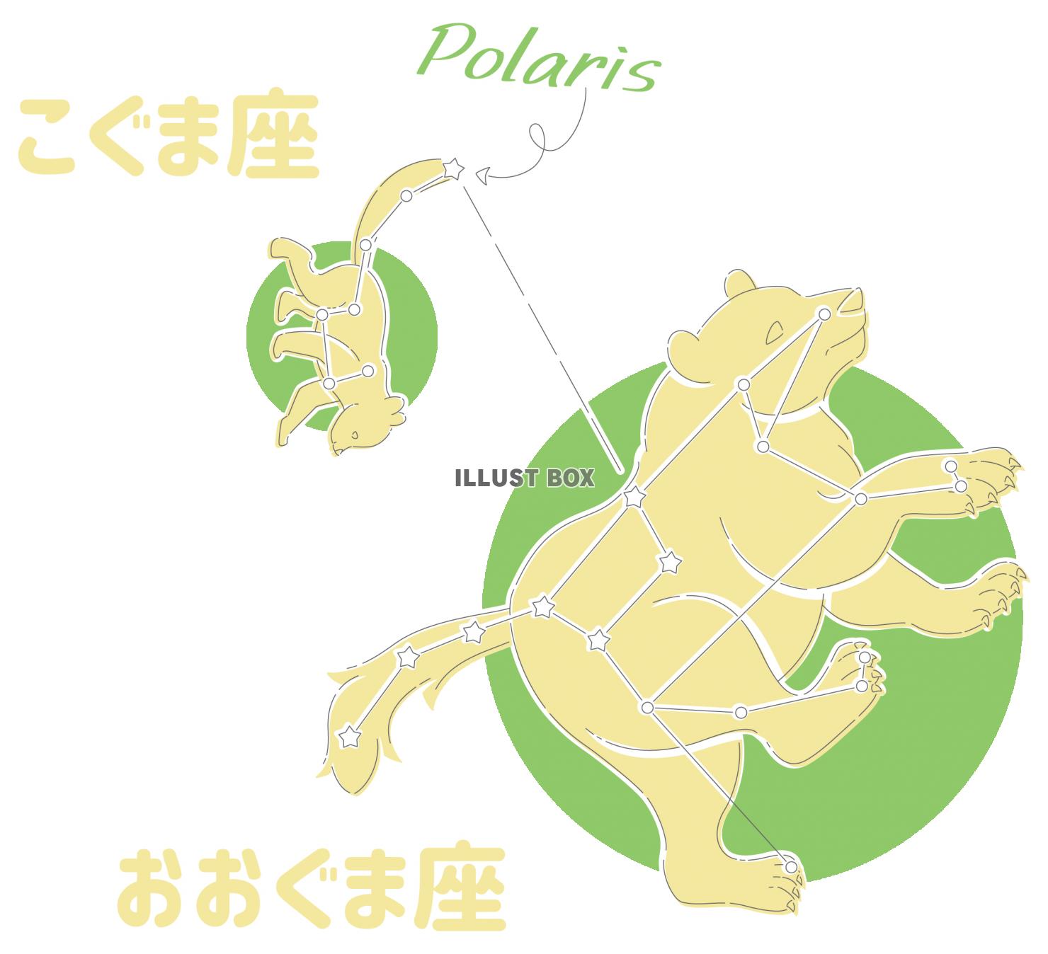 おおぐま座とこぐま座の星座図