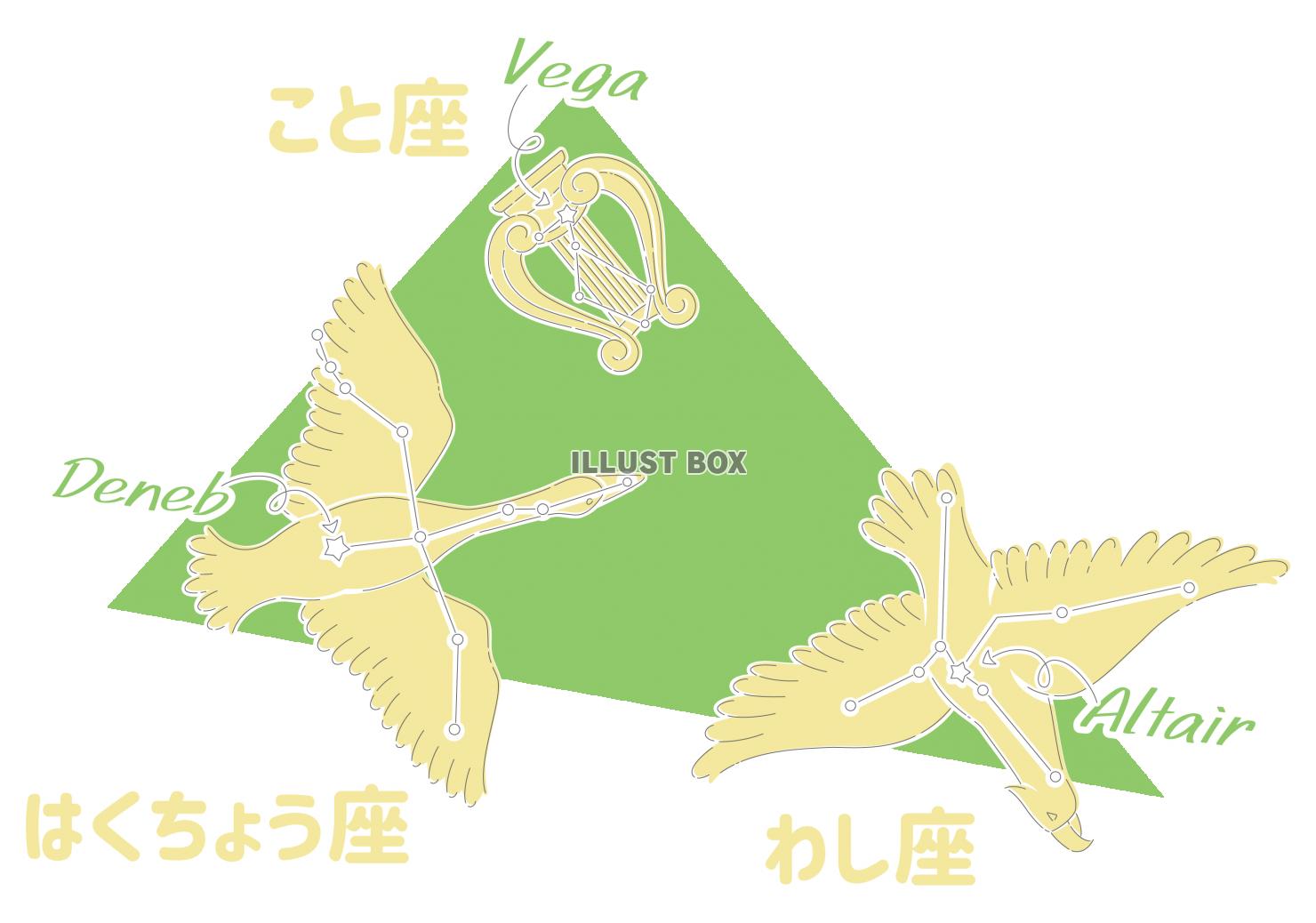 星座図・夏の大三角形