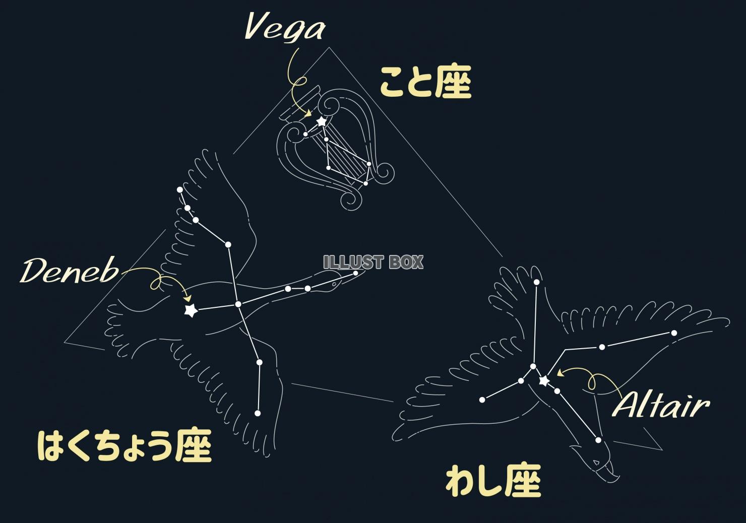 星座図・夏の大三角形