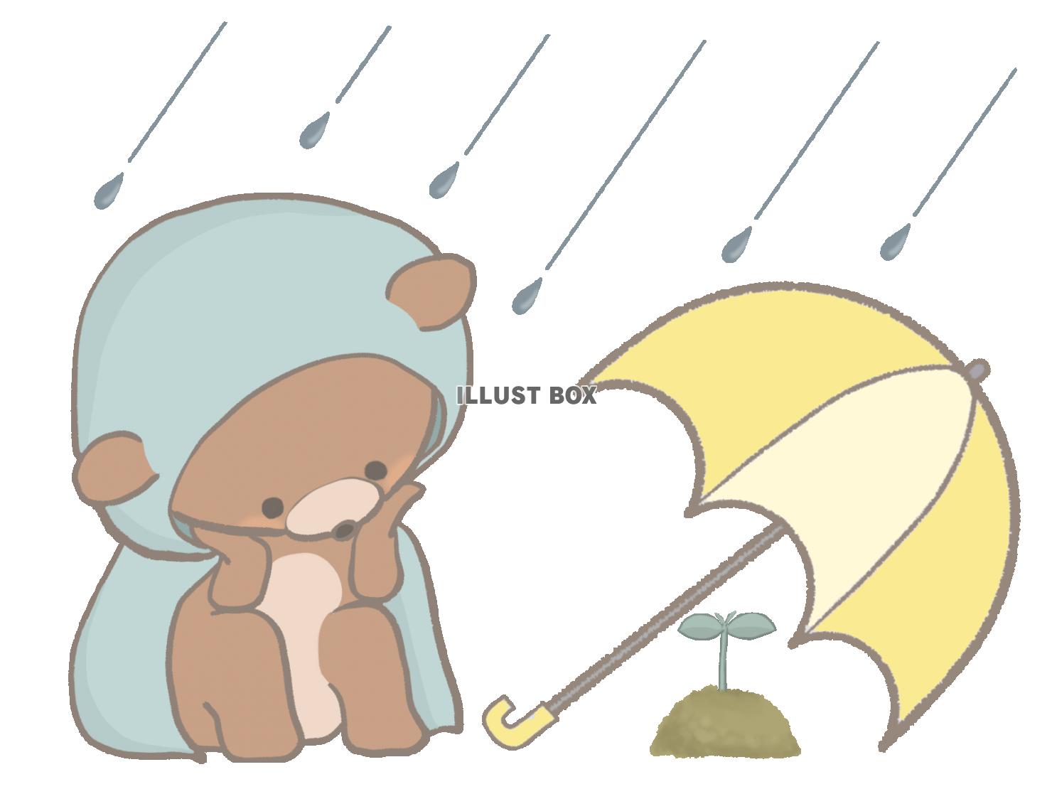 雨の中双葉を見守るクマのイラスト　線あり