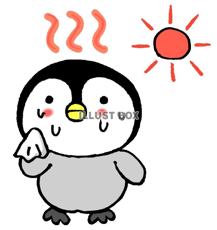 暑いペンギンさん