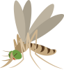 シンプルな蚊のキャラクター