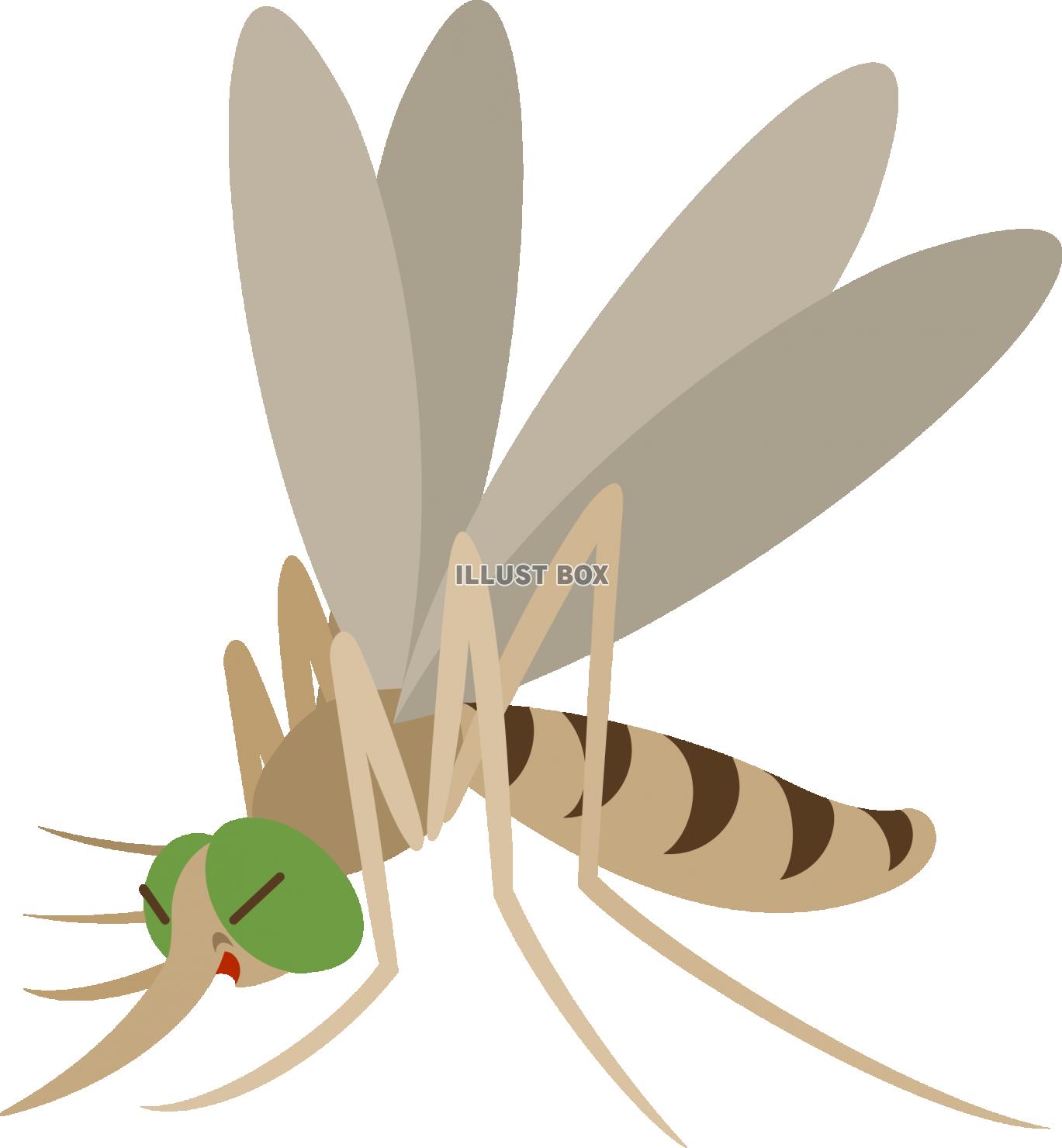 無料イラスト シンプルな蚊のキャラクター