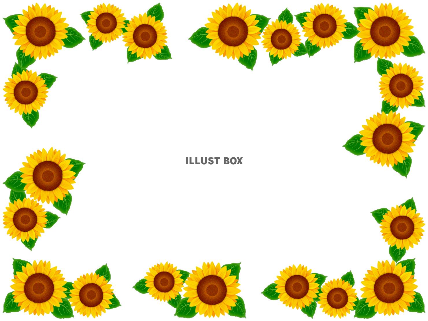 向日葵の花模様フレームシンプル飾り枠背景素材イラスト。透過p...