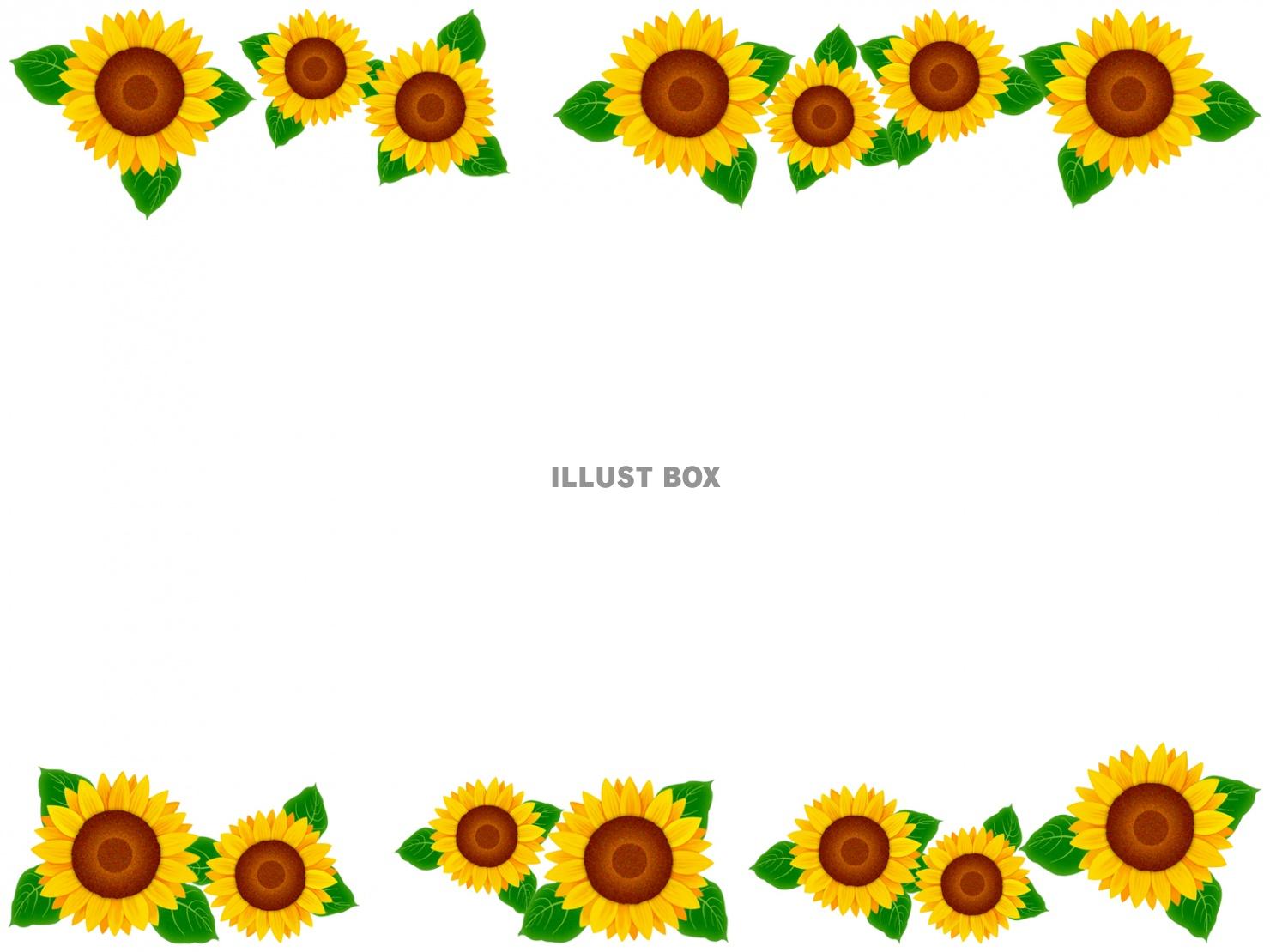 向日葵の花模様フレームシンプル飾り枠背景素材イラスト  