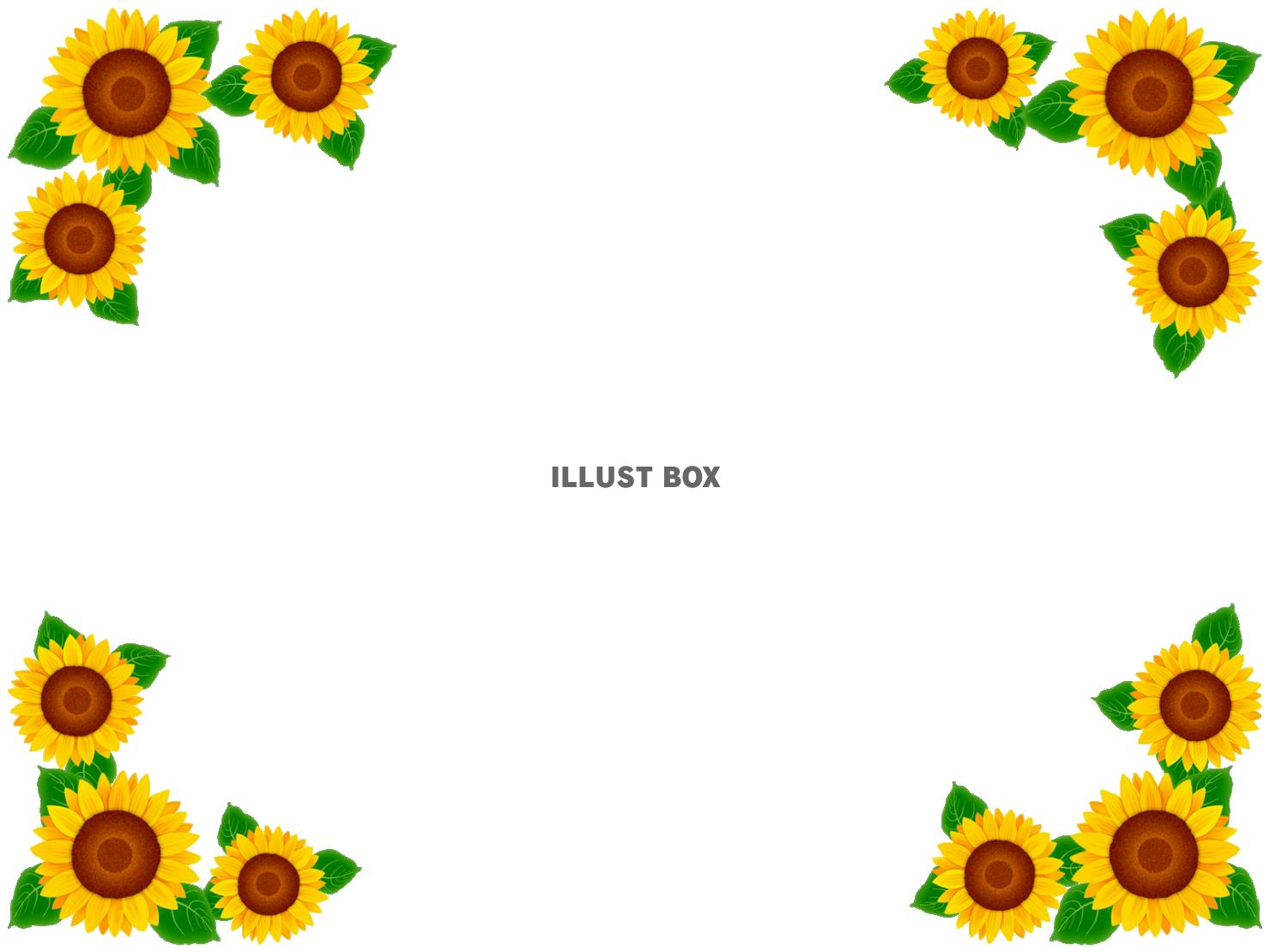 向日葵の花模様フレームシンプル飾り枠背景素材イラスト。透過p...