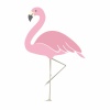 flamingo　フラミンゴ　かわいいイラスト
